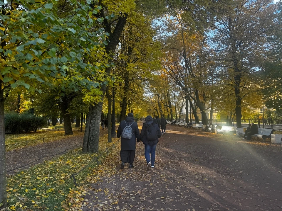 На Тюменскую область передали второе бабье лето: известна дата.