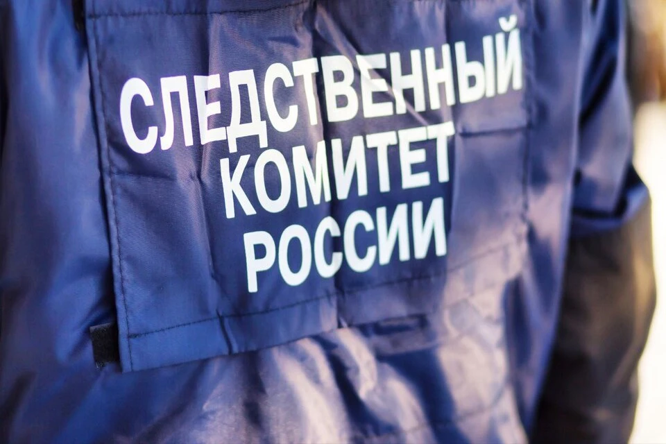 Публикации в социальных сетях привлекли внимание правоохранительных органов. Фото: СК России по Тверской области.