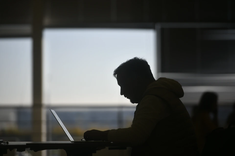 Функция расчета налогов для физлиц появилась в приложении ФНС
