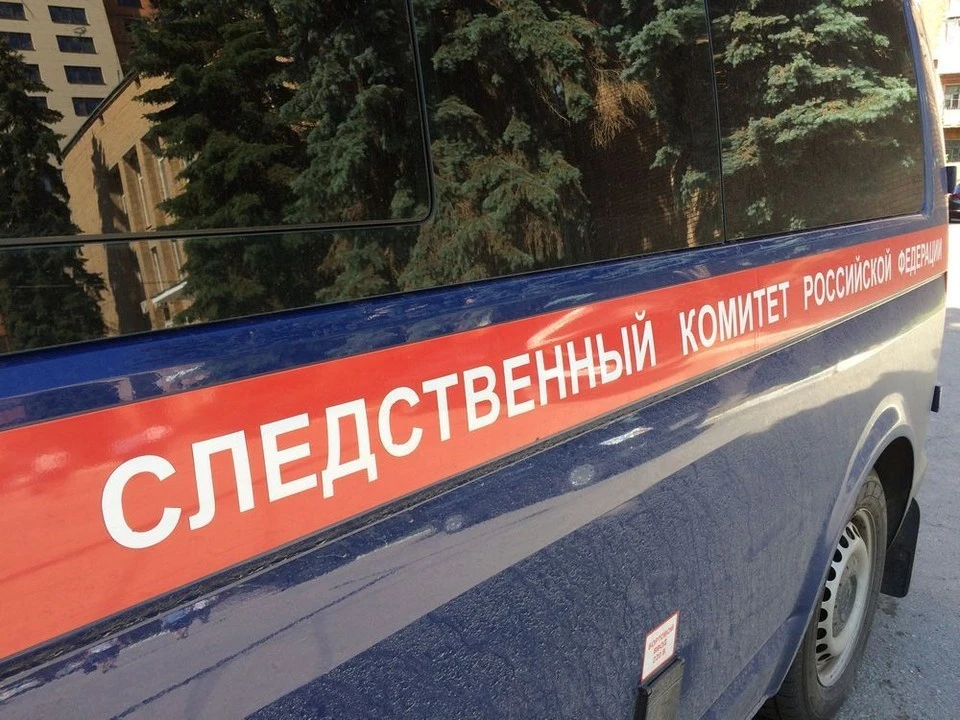 Жительница Тулы предстанет перед судом за смертельное ранение сожителя ножом.