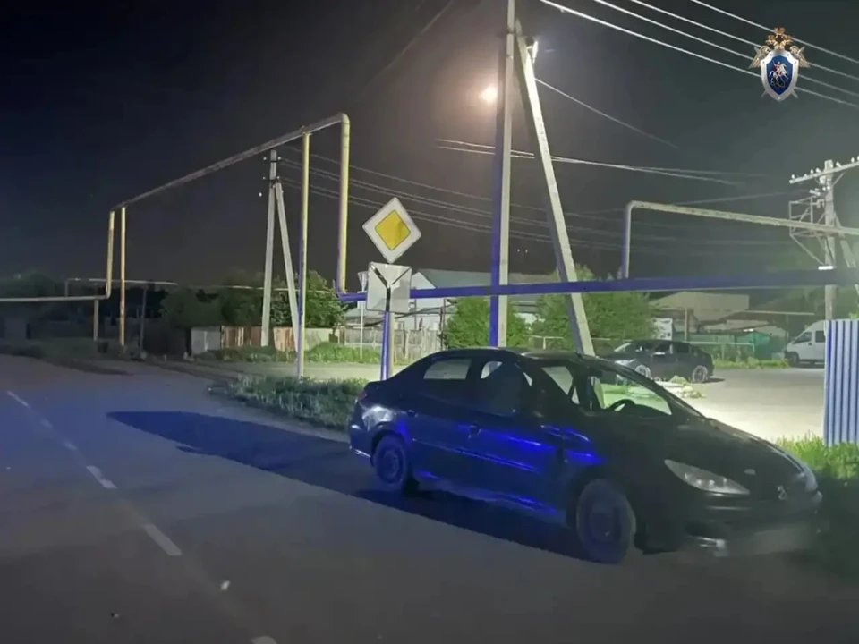 Фото: пресс-служба Следственного комитета Челябинской области.