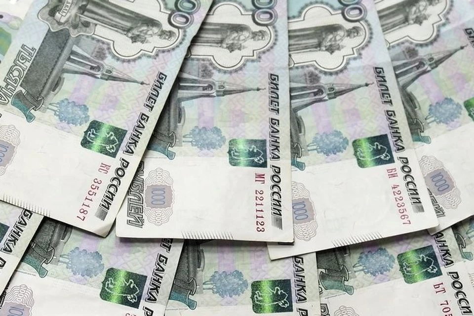 Жительница Новомосковска Тульской области оштрафована на тысячу рублей за ложный вызов полиции