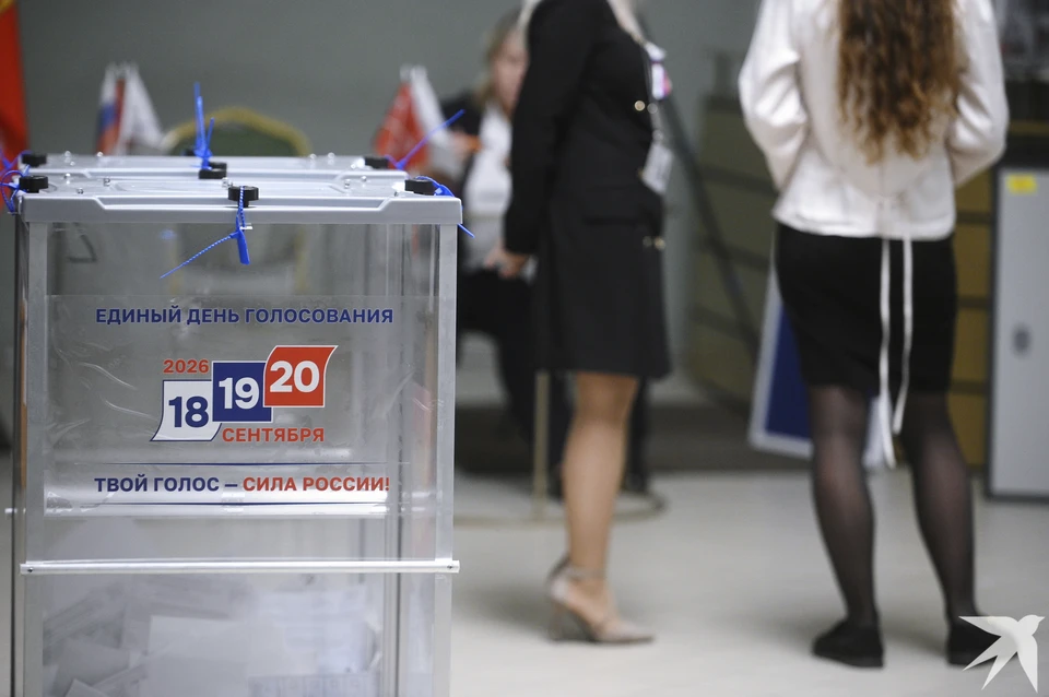Дистанционно проголосовал 81% свердловчан