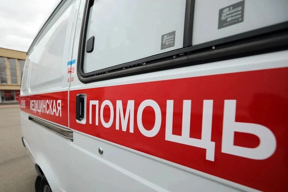 В Тверской области бойцовская собака покусала семилетнюю девочку.