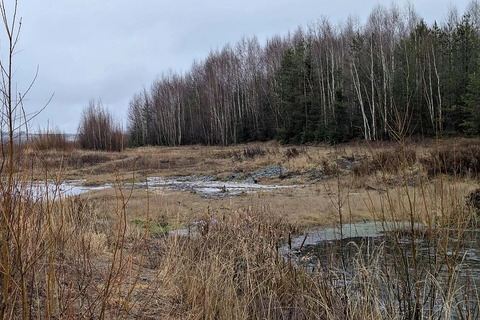 Фото: пресс-служба ПГНИУ