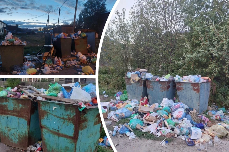 Вот так мусорные кучи в районе выглядели регулярно. Фото: Александр Паныч