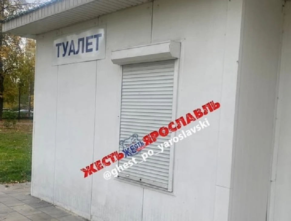 Возможно, самый чистый туалет в Ярославле. Фото: телеграм-канал Жесть Ярославль