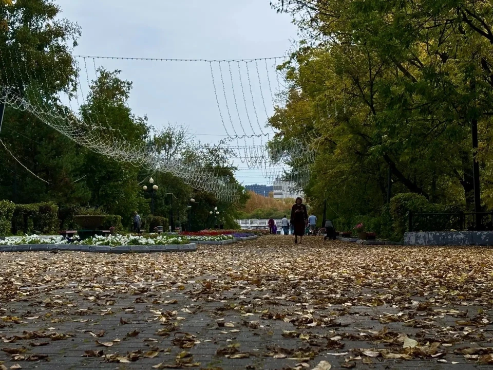 Фото: Валерия Железная