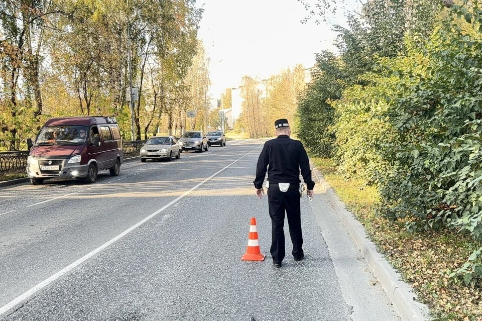 Фото: Госавтоинспекция Свердловской области
