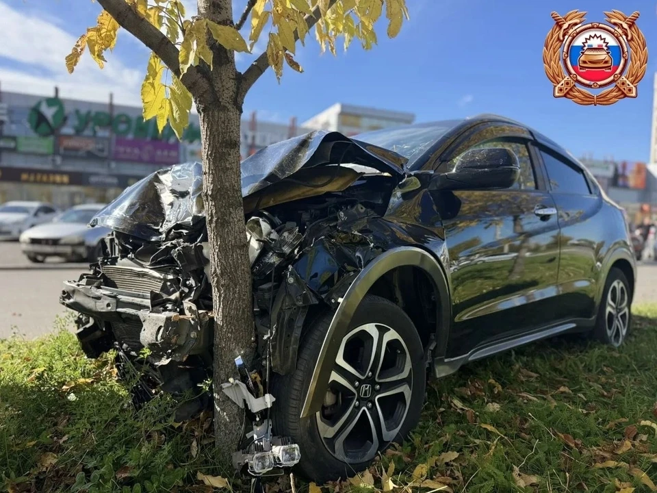 Фото: Госавтоинспекция по Хабаровскому краю