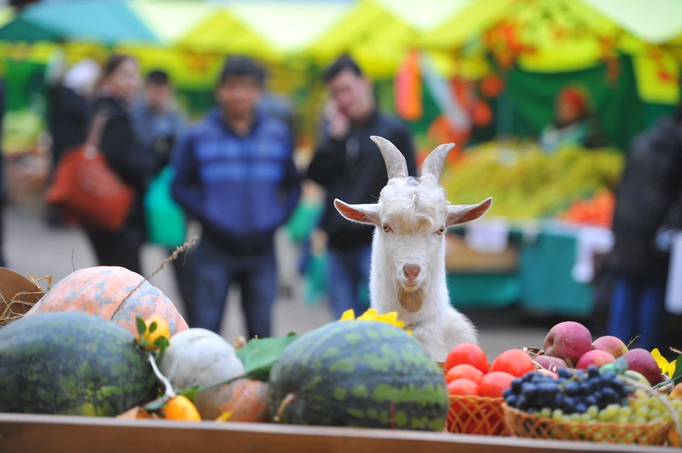 Фото из архива.