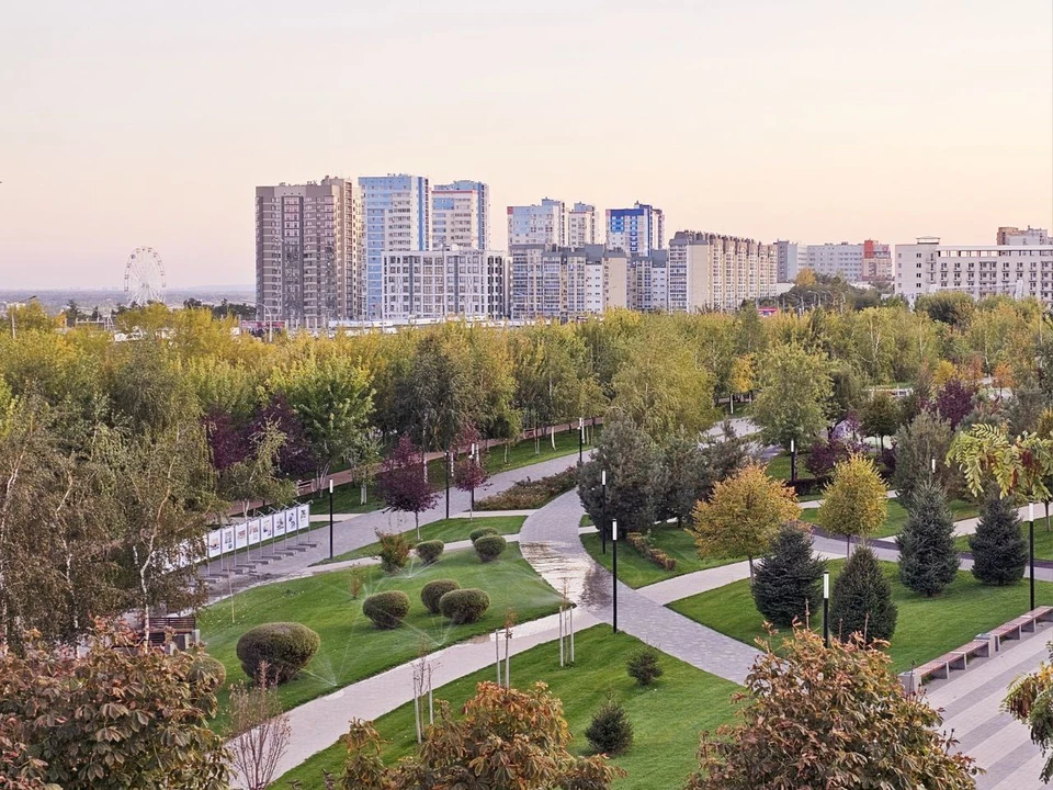 В Волгограде еще тепло, и клещи не впали в спячку.