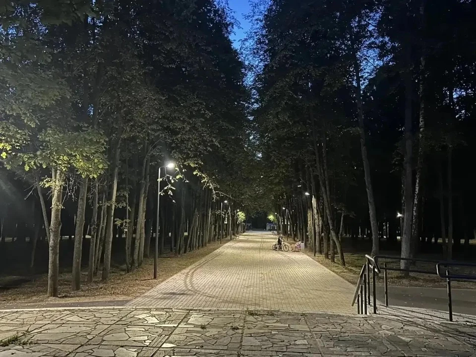 Фото: Правительство СО.