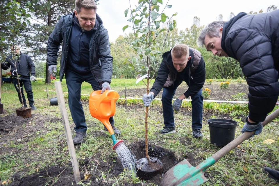 Представители банка высадили фруктовый сад в детском экоклубе Ульяновска | ФОТО: предоставлено КП