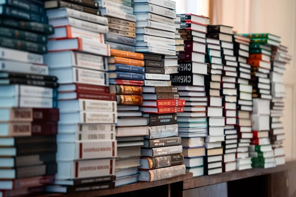 В библиотечные фонды ДНР в 2026 году поступило более 107 тысяч новых книг. Фото: ТГ/Желтяков