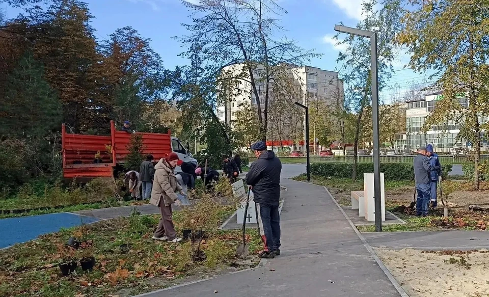 На ульяновских улицах высадили 51 молодое дерево. ФОТО: Центр по благоустройству и озеленению Ульяновска