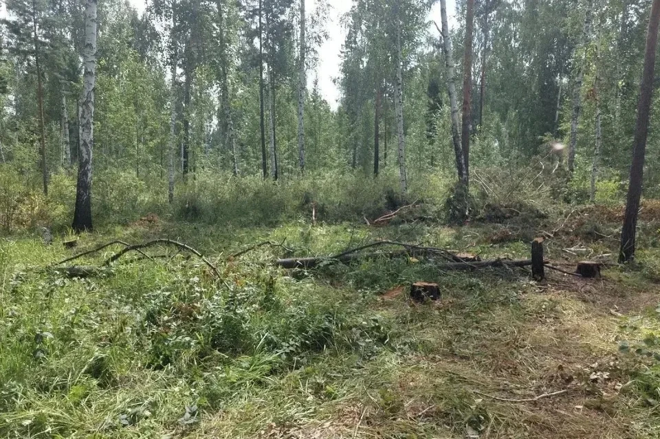 В Казачинско-Ленском районе взыскали больше 8 млн за вред животному миру