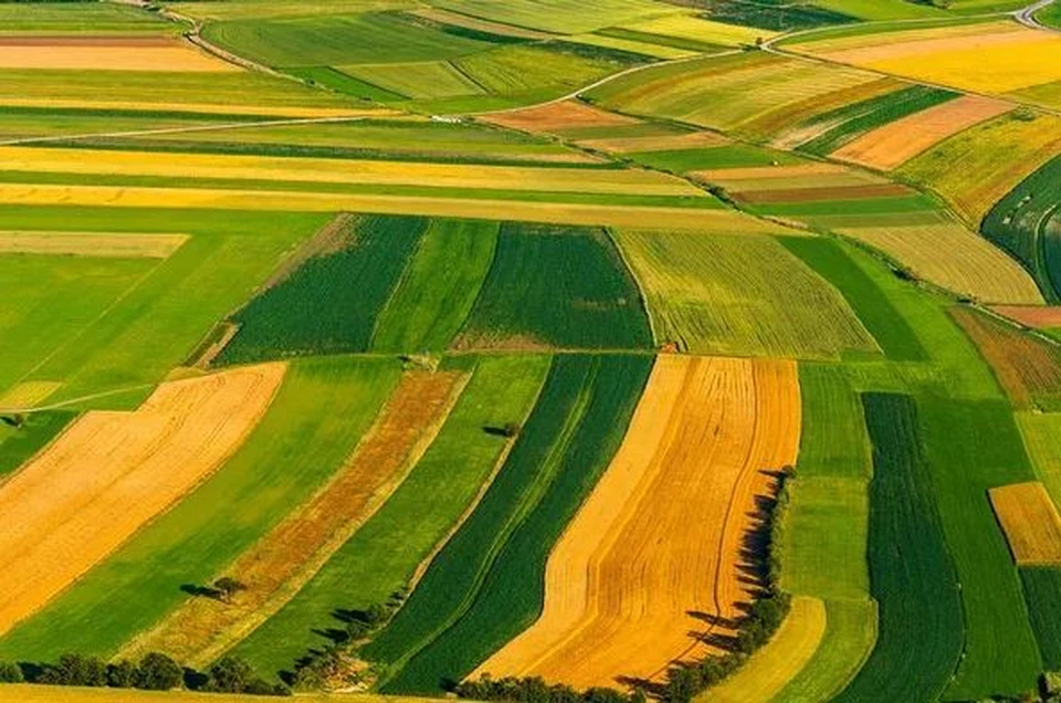 Земли Молдовы разделены на лоскуты квот. Фото: depositphotos.com