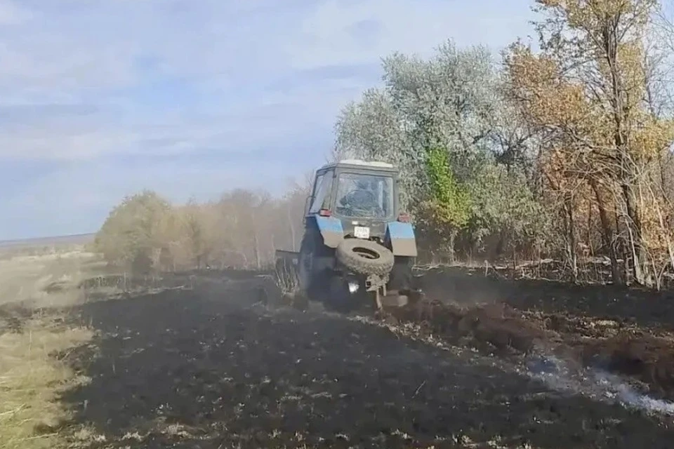 Огонь прошёл 5,2 гектара / Фото: минприроды Самарской области