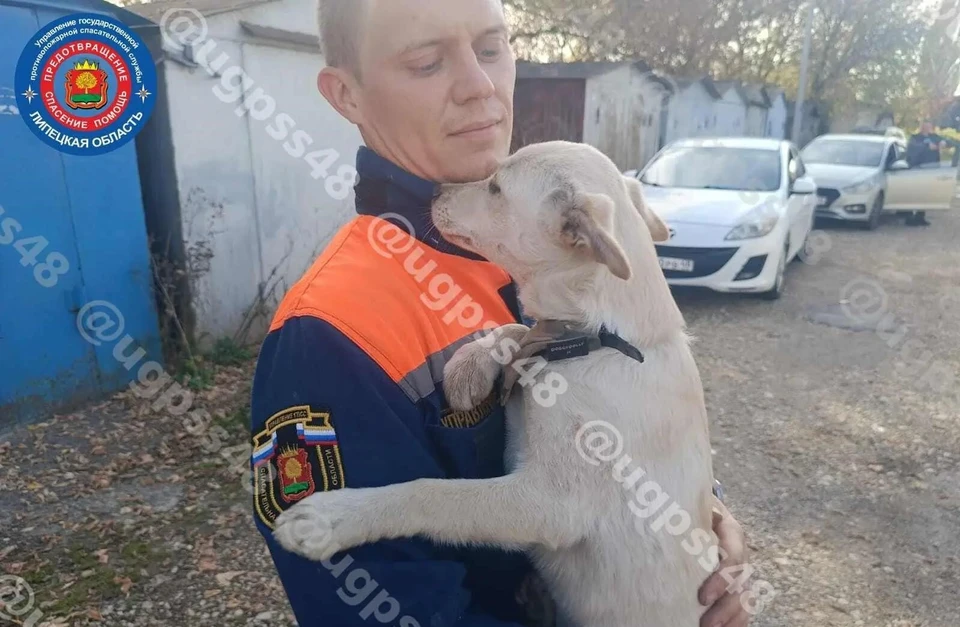 Щенок на руках спасителя почувствовал себя в полной безопасности. Фото управления ГПСС Липецкой области.