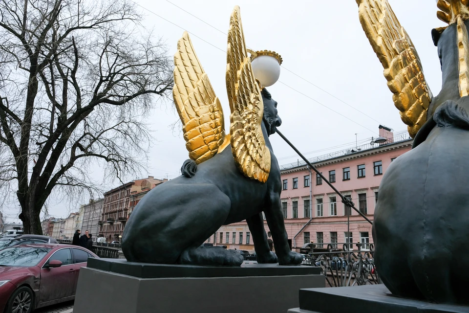 Сейчас на месте дерева остался большой пень.