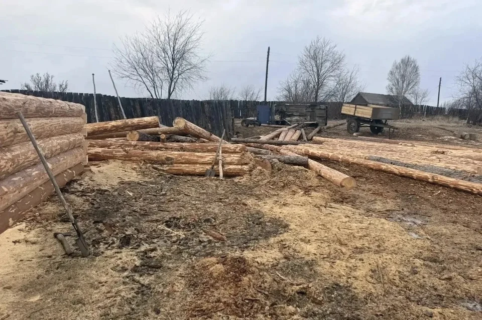 В Нижнеудинске мужчину осудили за незаконную рубку леса и забрали трактор