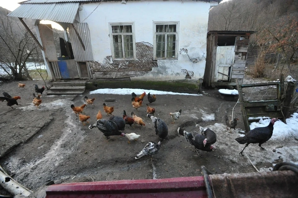 На Ставрополье семья из пяти человек попала под следствие