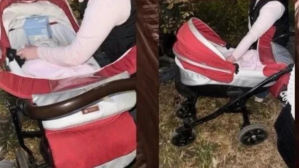 В Самаре школьники нашли на мусорной площадке коляску с трёхмесячной девочкой, фото: соцсети/МВД