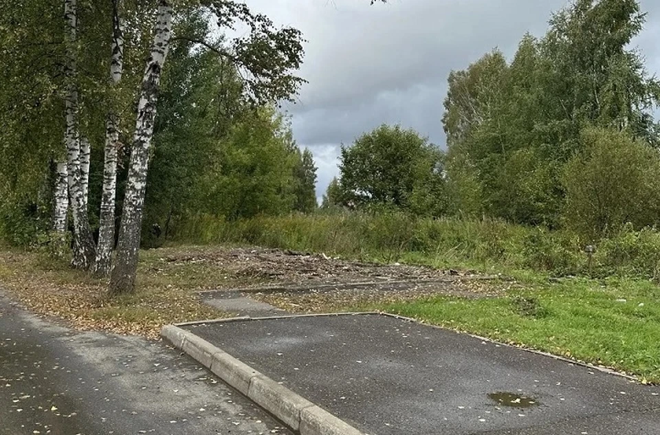 Некоторые самовольные постройки уже снесли.