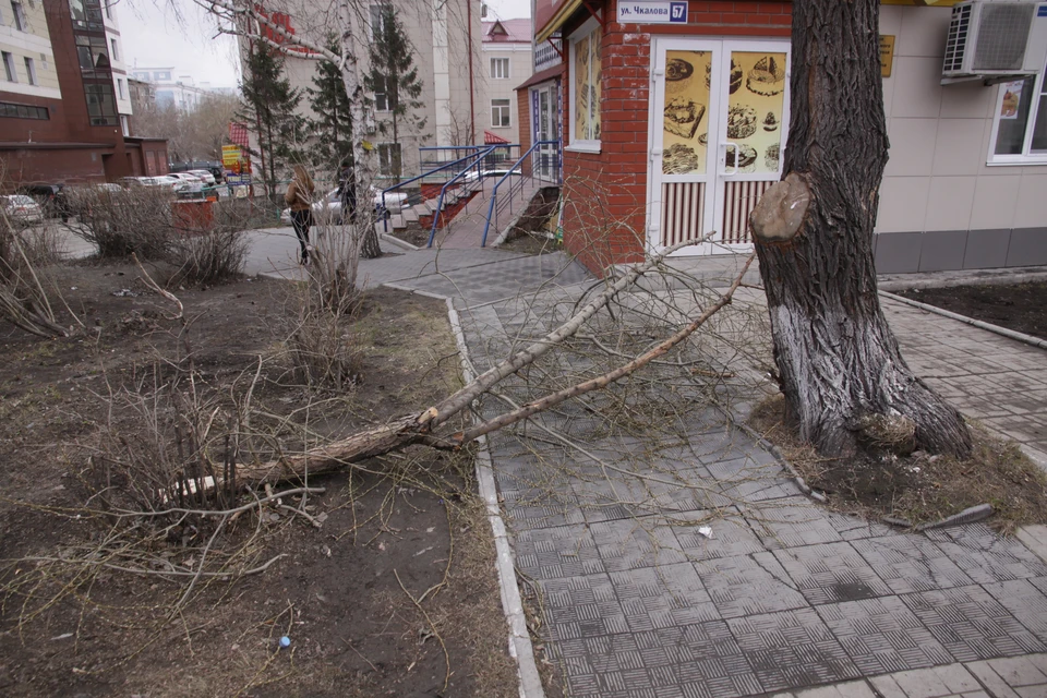 Жалобы на благоустройство - одни из самых частых