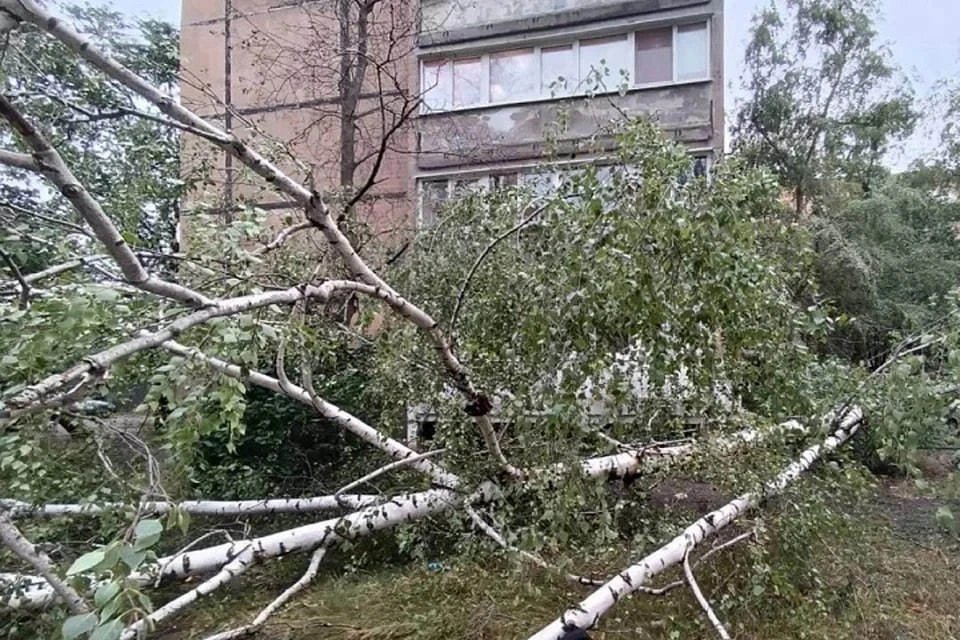 В ДНР устраняют последствия сильного порывистого ветра. Фото (архив): Следком ДНР