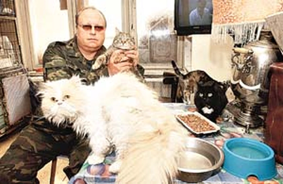 Валерий Сугробов с четырьмя из своих двадцати кошек.