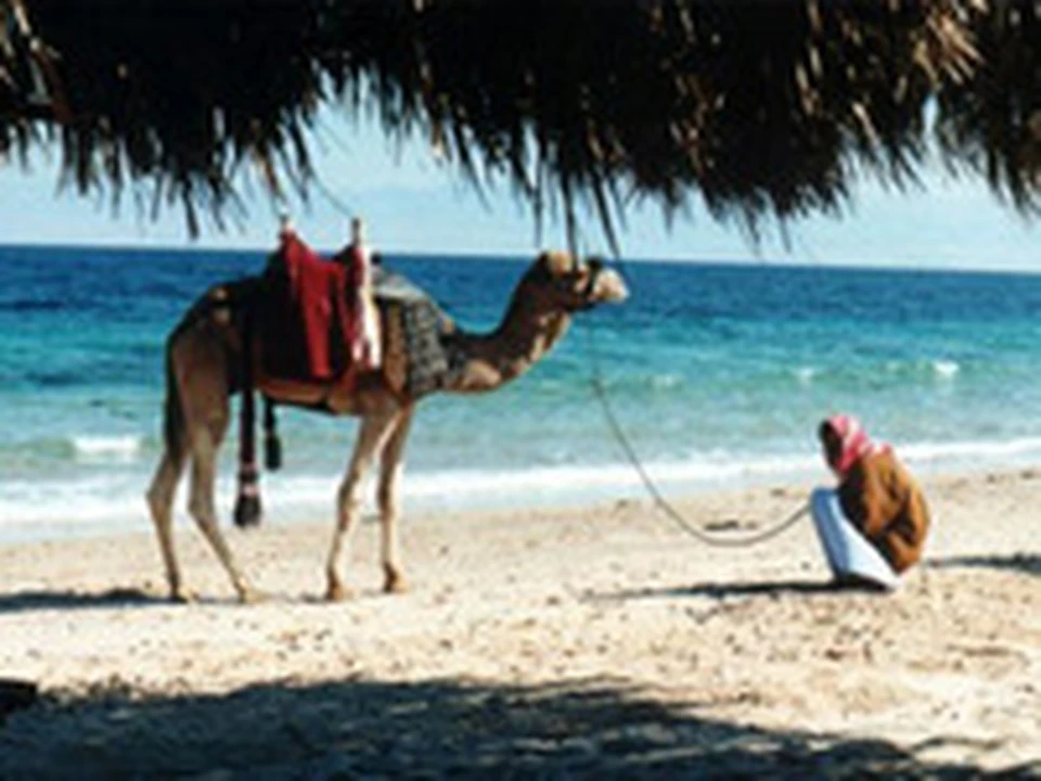 Хургада тур. Тур в египет из москвы анекс тур. Египет фотоколлаж. Горящий тур в шарм эль шейх. Туроператоры в египет из нижнего.