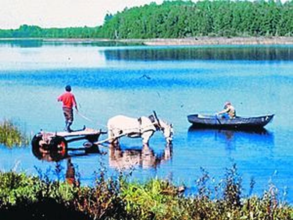 Погожий полдень.