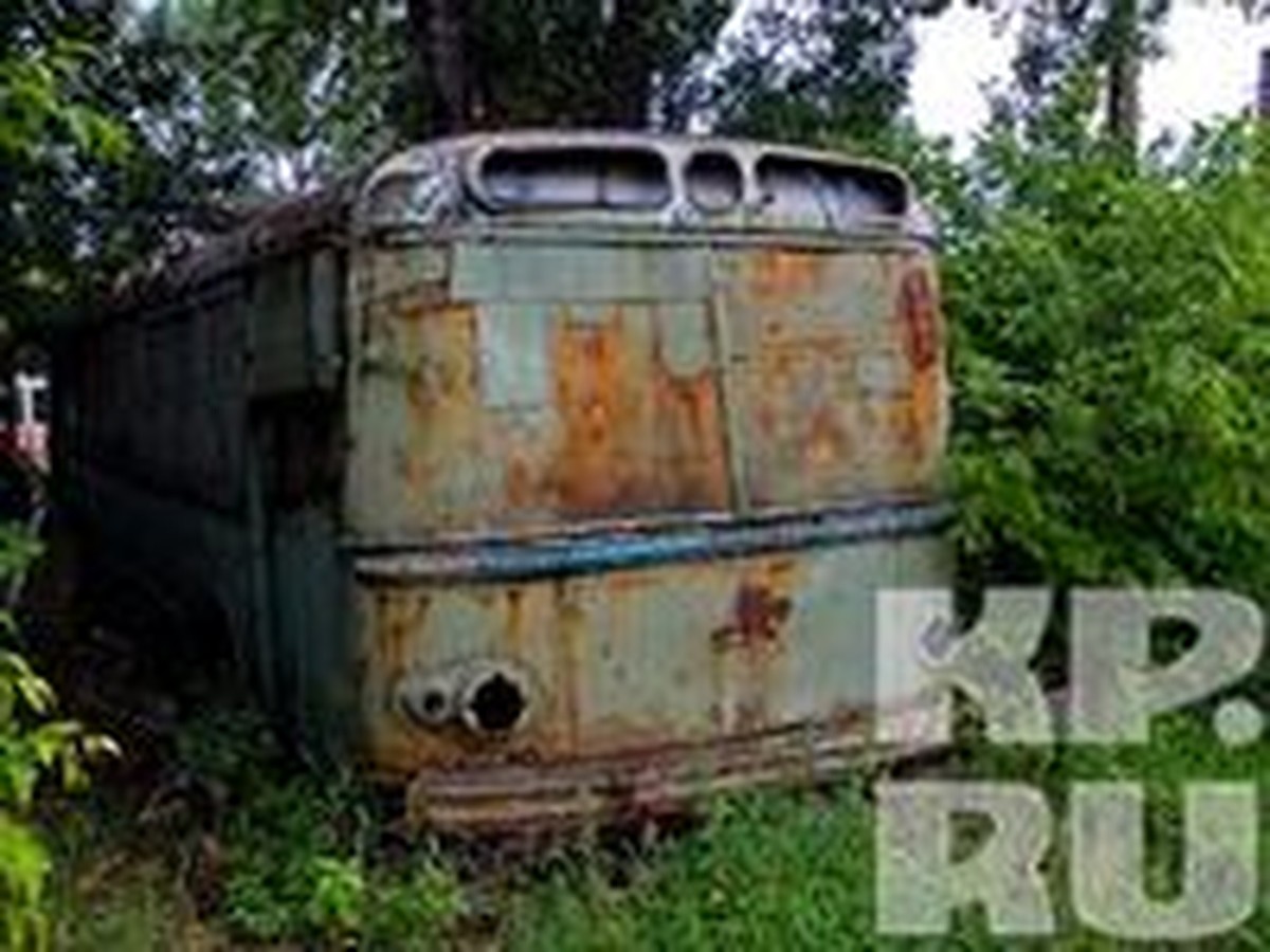 Сексуалды әйел