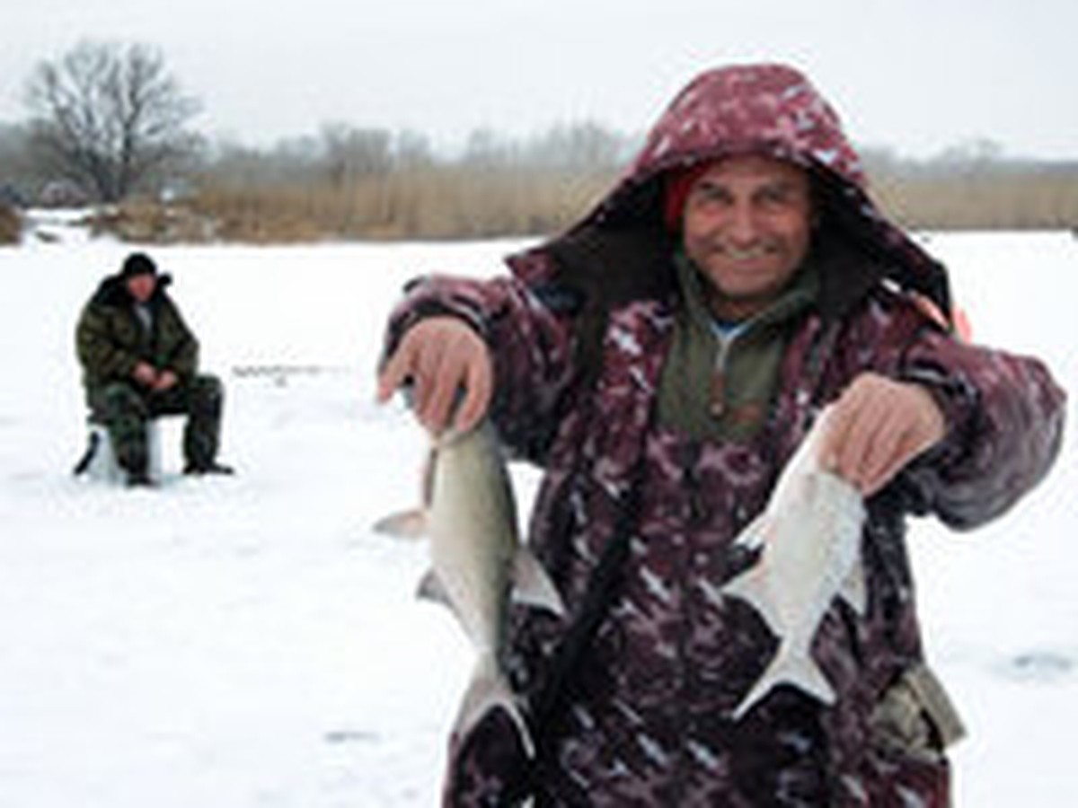 Самые рыбные места Нижегородской области - KP.RU