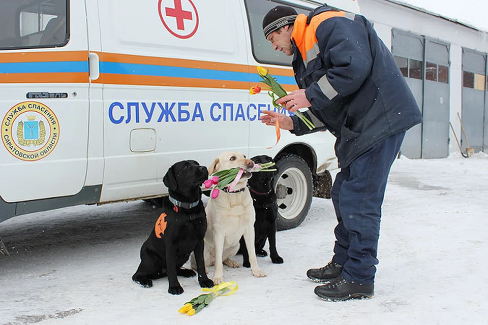 Саратовские спасатели поздравили с 8 Марта... собак