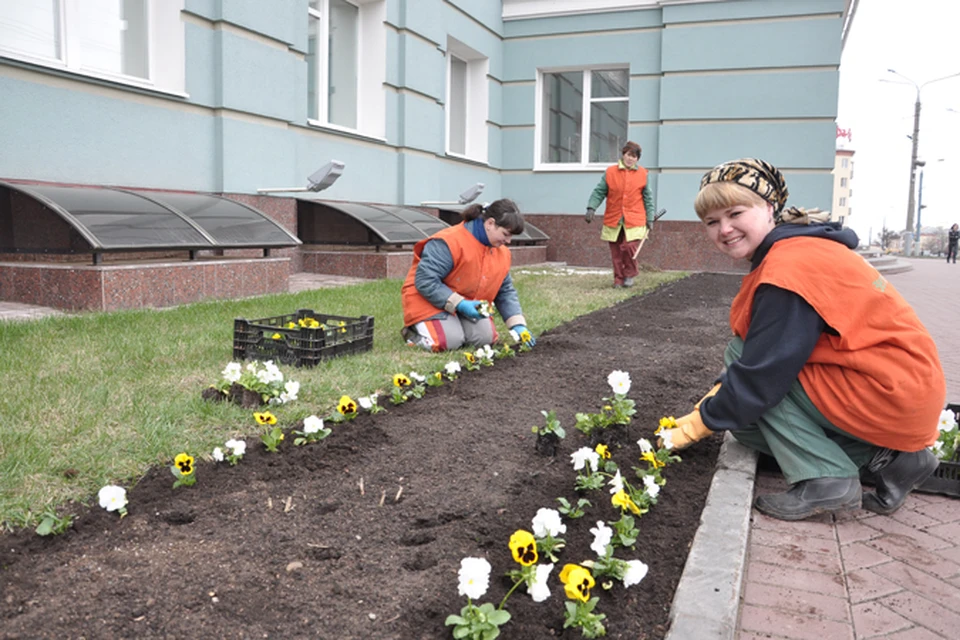 Школьники Ижевска с охотой идут работать на озеленителями города