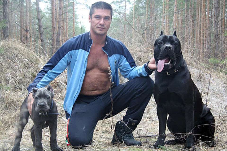 Алексей Пронин когда-то занимался спортом, а в последнее время увлекся бойцовскими собаками