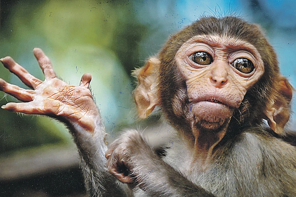 «Линия жизни». Максим Костин (Китай).