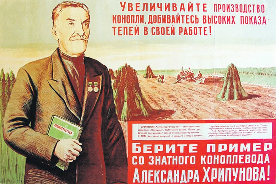 Тех, кто выращивал коноплю для хозяйства, воспевали. Остальных предпочитали не замечать.