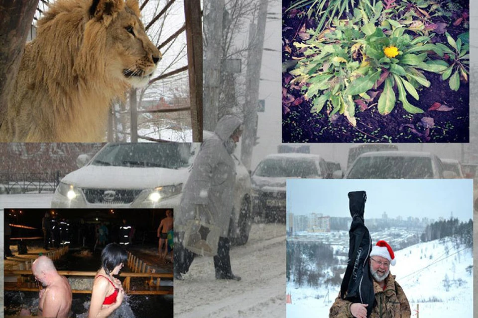 "Комсомолка" вспоминает, какой была для белгородцев прошедшая зима.