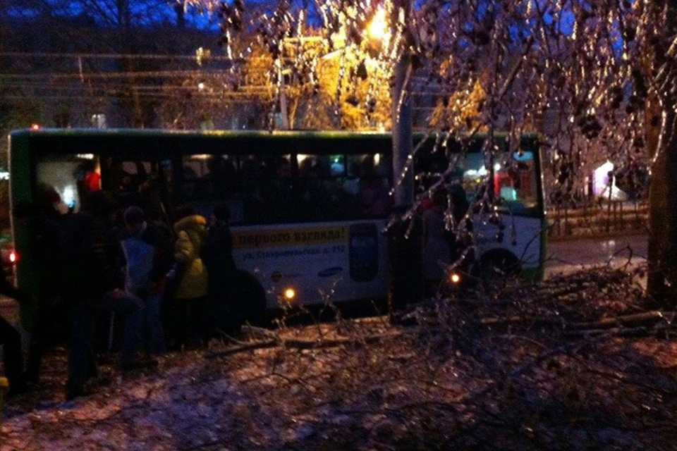 Город буквально усыпан деревьями