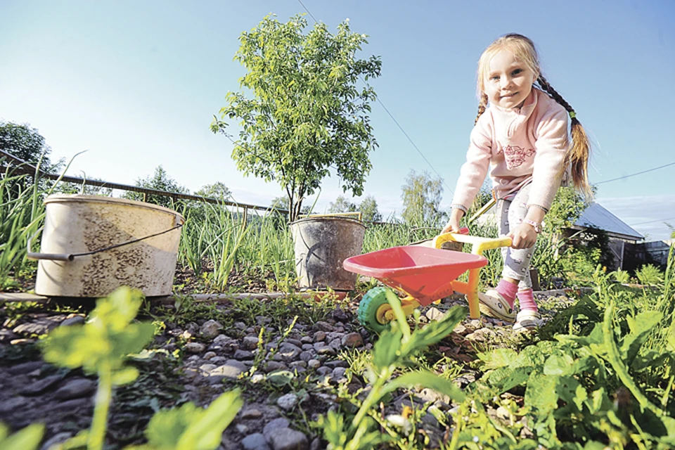Маленькие садоводы очень важничают, когда им доверяют взрослое дело. Зато приучаются к ответственности.