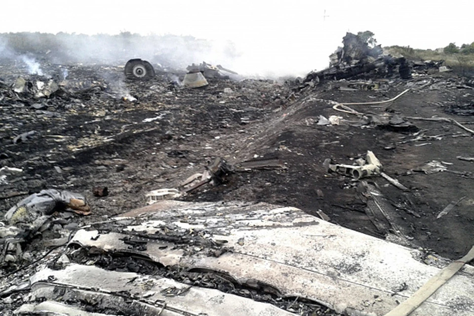 Почти 300 человек погибли во время крушения малайзийского самолета в Донецкой области на Украине
