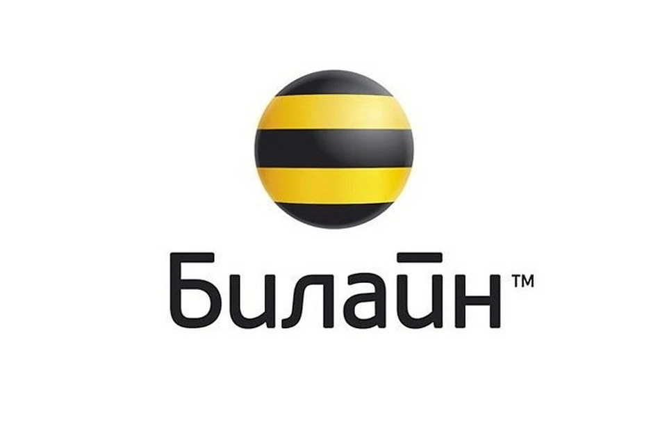 Виталий Рыбак назначен на должность технического директора ОАО «ВымпелКом» в Сибири.