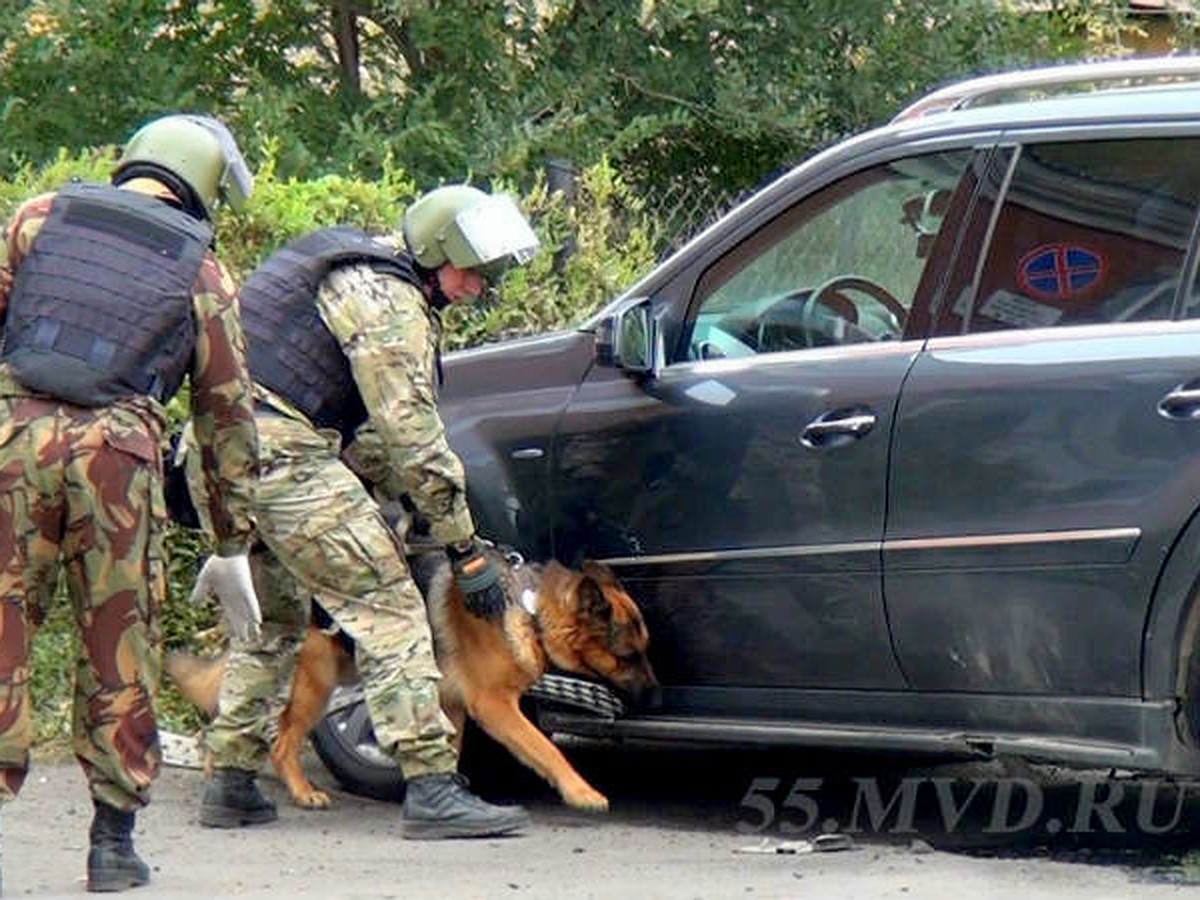 Омский перевозчик: «Я общался с Геворгяном после подрыва его машины - он не  выглядит испуганным» - KP.RU