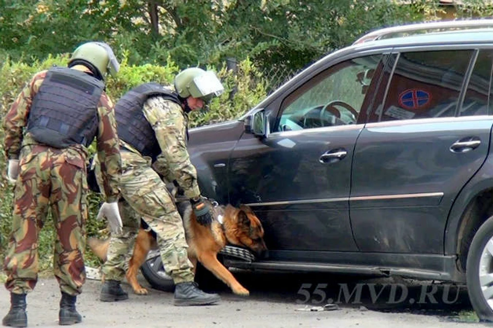 На месте происшествия работали саперы и кинологи. Фото: пресс-служба УМВД по Омской области.