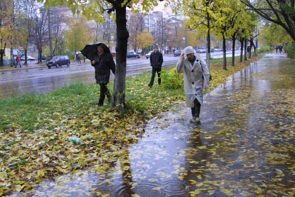 В выходные будет тепло, но дождливо