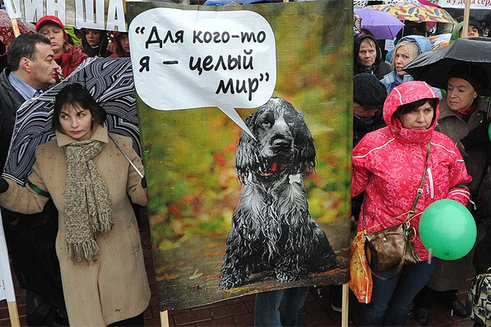 Митинг против разгула догхантеров в столице, 2012 год